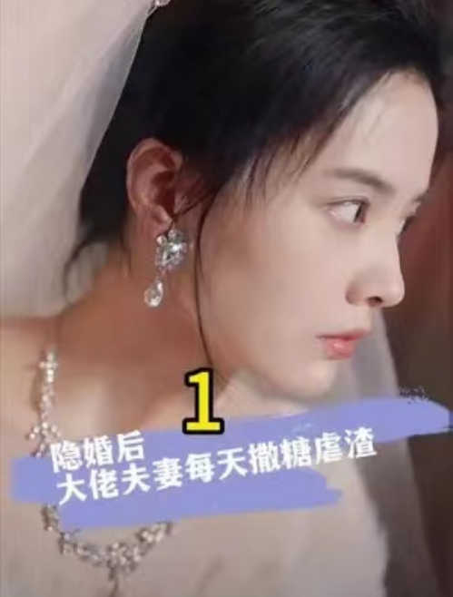 特工娇妻（隐婚后大佬夫妻每天撒糖虐渣）