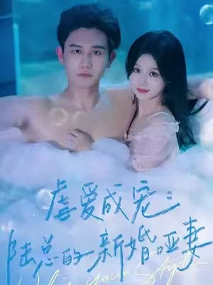 虐爱成宠：陆总的新婚哑妻